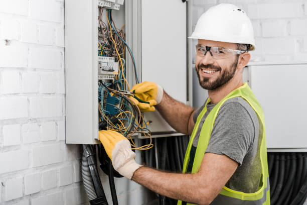 Best Electric Panel Repair  in Lake Waccamaw, NC