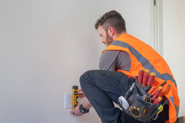 Best Electric Panel Repair  in Lake Waccamaw, NC
